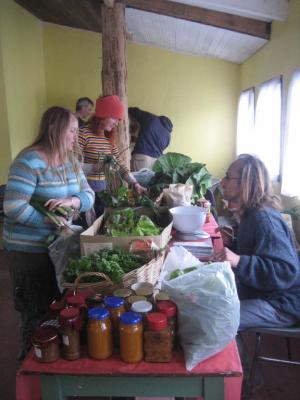 College Organic Market stall