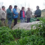 Students in the Community Gardens
