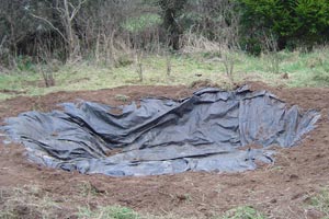 Pond planting